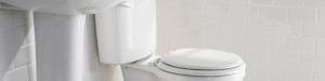 Productos para limpieza de baños
